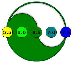 pH Balance