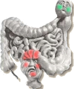Digestion