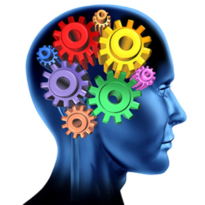 Brain, Focus & Learning