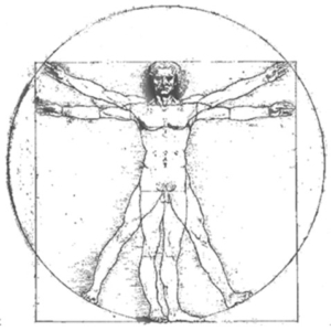 Joints, Muscles & Bone