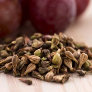 Immunity and Allergies